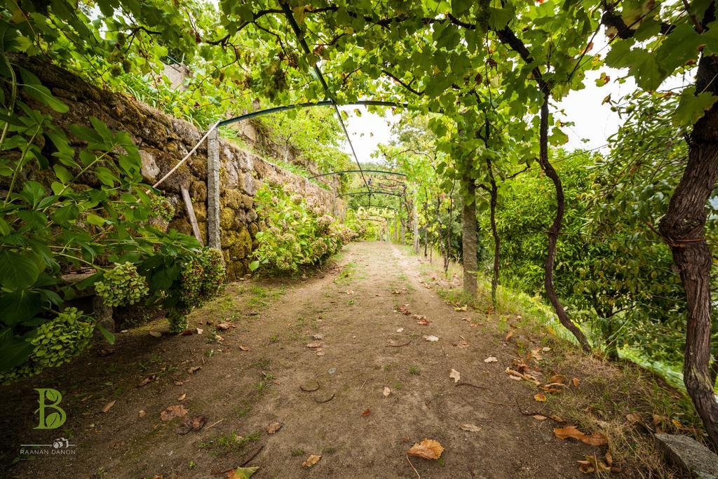 Quinta da Bouça - Agroturismo Pacos de Gaiolo Chambre photo