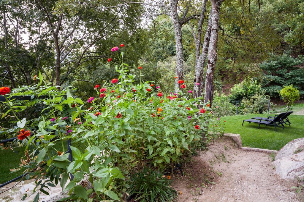Quinta da Bouça - Agroturismo Pacos de Gaiolo Chambre photo